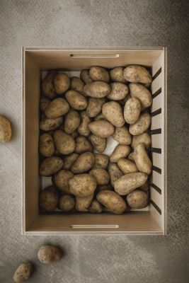 Holzcontainer
