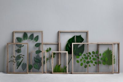 Bilderrahmen Frame