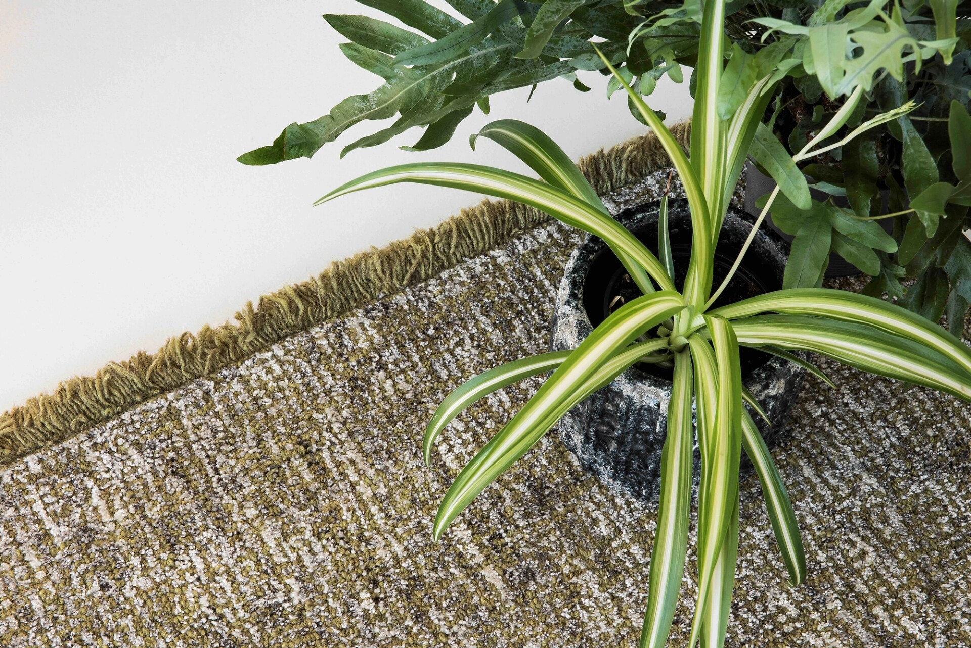 Pflanze auf meliertem Casalis-Teppich mit Fransenabschluss in Gelbgrün