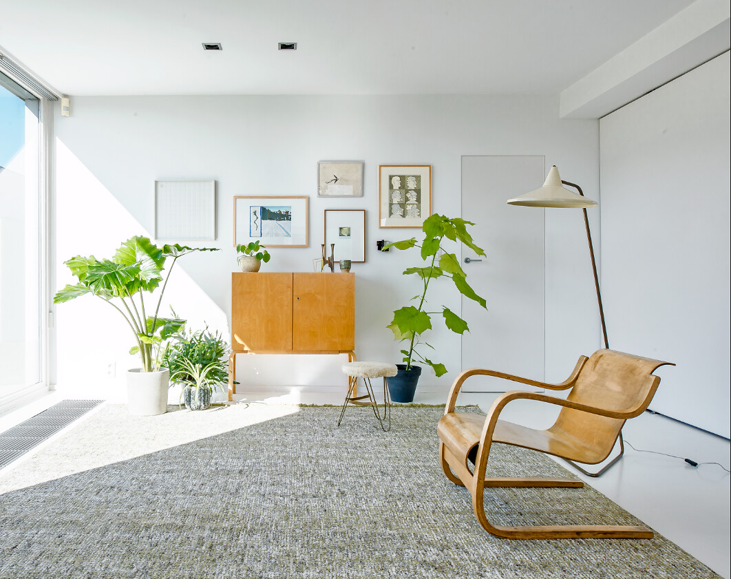 Wohnraum mit hellem Casalis-Teppich, Holzmöbeln, großen Pflanzen und Bildern