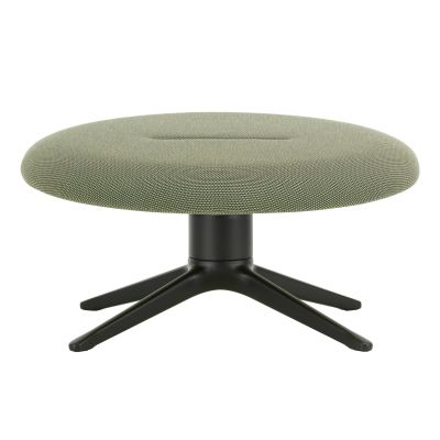 Hocker Abalon