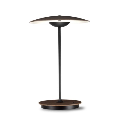 Shop: Tischleuchte Ginger 20M portable