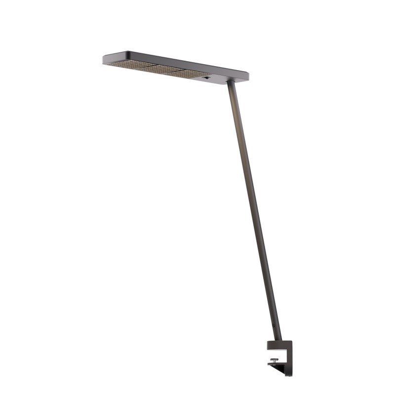 Klemmleuchte XT-A Single Clamp