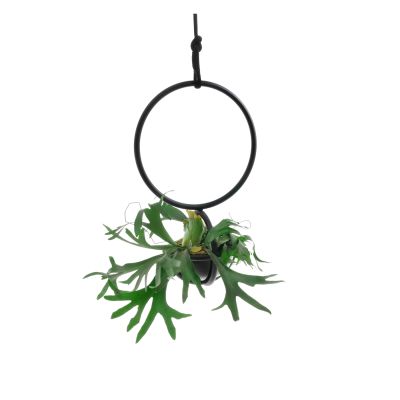 Shop: Blumenkugel Anna Blume rund