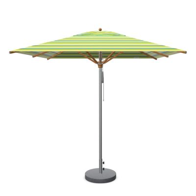 Sonnenschirm Trend quadratisch